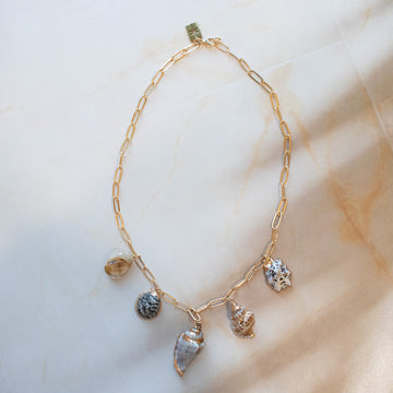Shell Charm Necklace