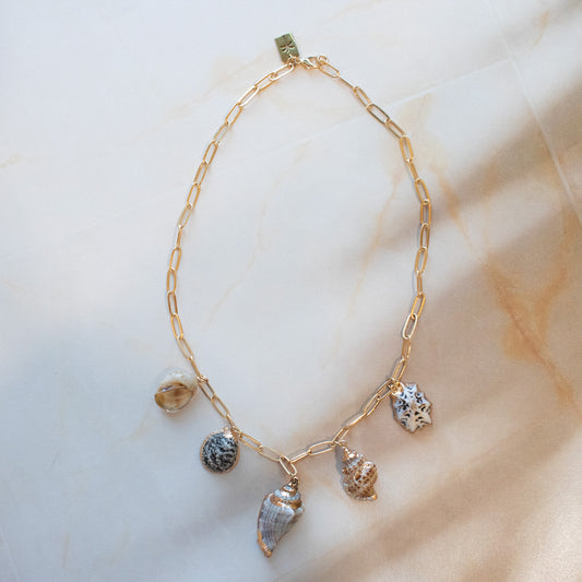 Shell Charm Necklace
